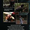 The Lumberjack