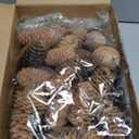 40 PCS Rustic Pine Cone Decorations - Large, Medium and Mini Sizes for Table, Tree and Home Decor