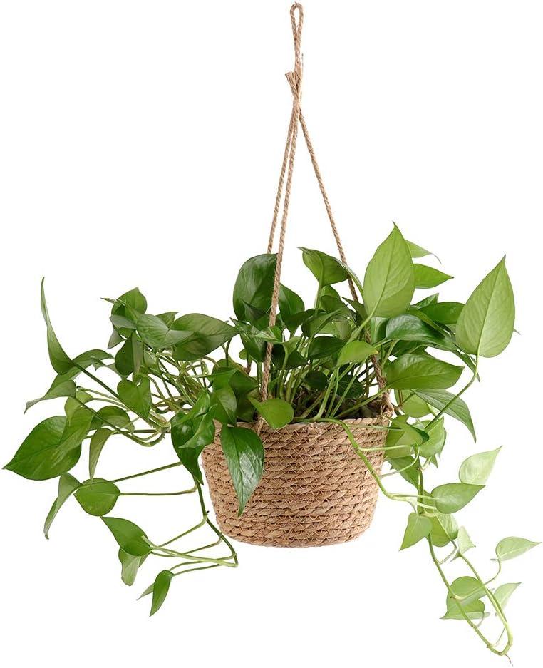 WYSRJ 8inch Jute Rope Hanging Planter Woven Plant Basket Macrame Plant Hangers Plant Holder Basket Decorative Storage Baskets for Plants Pots Home Decor