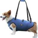 Coodeo Dog Lift Harness, Pet Support & Rehabilitation Sling Lift Adjustable Padded Breathable Straps for Old, Disabled, Joint Injuries, Arthritis, Loss of Stability Dogs Walk (Blue, M)