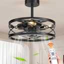 Fivesun Caged Ceiling Fan with Light with Remote, 17" Bladeless Industrial Ceiling Fan with Remote, Farmhouse Fan Lights Ceiling 6 Speed, Timing Fashionable,Matte Black