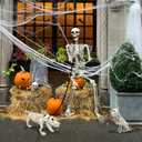 5.4Ft Posable Halloween Skeleton with Dog Cat Skeleton for Halloween Decor, 65IN