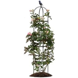Garden Trellis,Tomato Cage for Climbing Plants Outdoor, Plants Trellis Support for Climbing Vines, Plant Support for Vegetables, Plant Flower Trellises for Clematis Jasmine Outdoor Indoor-1 Pack