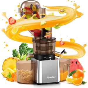 Commercial 300W Cold Press Juicer Machines - Dual Outlet for Juice & Pulp, High Yield, Masticating Juicers, Heavy Duty Stainless Steel, Quiet Motor, Easy Clean for Restaurants, Bars