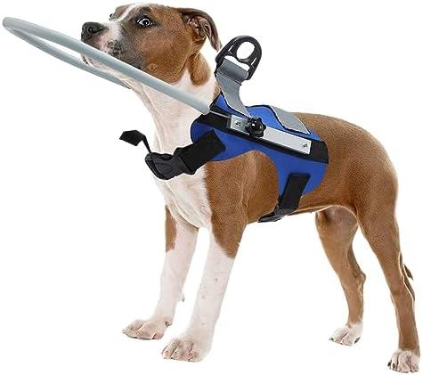 Fhiny Blind Dog Harness - Guiding Device with Anti-Collision Ring & Bumper, Builds Confidence - Blue