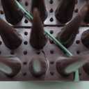 Bird Spikes, 20 Packs Bird Deterrent, Raccoon and Squirrel Deterrent, for Outdoor Repelling Birds and Reptiles, Squirrel Spikes for Fences and Roofs to Keep Birds AwayBrown