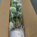 2 Pack Artificial Camellia Tree with White Pot, 38" Faux Potted Plants for Indoor Outdoor Decor, Tall Silk Greenery Plant for Home Office Living Room Balcony, White (3FT)