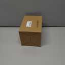 Halloween Terracotta Color Plastic Skull 5.9 Inch Life Size Human Skeleton Head Model for Halloween Indoor Outdoor Decor Party Centerpiece