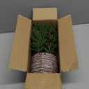 Artificial Potted Christmas TableTop Centerpiece - 12" Faux Norfolk Pine Plants with Pinecones & Red Berry in Woven Wooden Pot Xmas Decorations for Home Table Winter Mantel Farmhouse Indoor Decor