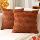 Artscope Fall Pillow Covers 20 x 20 Set of 2 Decorative Autumn Harvest Holiday Pumpkin Throw Pillow Cases Soft Plush Faux Fur Couch Cushion Case for Farmhouse Halloween Sofa Bed Room Home Decor-Rust