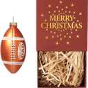 WDS WONDROUS Football Christmas Ornament & Decoration, 2.36 White and Brown Sports Ornament Set for Xmas Tree, Glass Hanging Decor Holiday Party Home Gift (Set of 1)