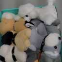 Niceup 10Pcs 4.5in Small Stuffed Dog Puppies Animals Bulk Adopt Dog Party Favors Cute Paw Animal Little Pup Soft Plush Toys Doll for Pawty Birthday Goodie Bag Fillers Kids Class Valentine's Day Gift