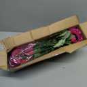 Artificial Geranium Fake Flowers for Outdoors Decoration, 6 Bundles Silk Geraniums Flower UV Resistant Look Real Faux Plants for Outside Planter Front Door Garden Patio Balcony Yard Home, Fuchsia