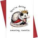 Mothers Day Gifts Card for Mom from Kids Daughter, Funny Opossum Greeting Card, You're Doing Amazing Sweetie, Funny Encouragement Possum, Motivation Congratulations Gift Ideas for Friends Coworkers