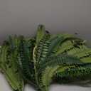 MARTINE MALL Set of 2 48'' Fake Ferns Artificial Ferns for Outdoors Look Real, 88 Branches Large Faux Boston Fern for Outdoor Planter Realistic UV Resistant Hanging Artificial Fake Plants for Porch Patio (Green)