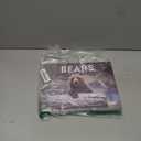 Bear Calendar 2026 Wall 12 Month Bears Gifts For Bear Lovers Women Men Monthly Calender| American Made In The USA