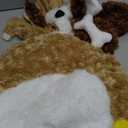 Spooktacular Creations Halloween Puppy Costume for Kids, Toddler Puppy Costume for Baby Halloween Animal Dress Up Party (18-24 Months)