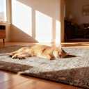 Office Chair Mat for Hardwood Floor, 48"x60" Desk Chair Mat for Home Office, Anti-Slip Under Desk Mat Rug for Rolling Chair,Floor Protector Washable Rugs for Gaming Chairs-Rust
