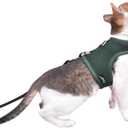 Cat Harness and Leash for Walking Escape Proof Breathable Mesh Fabric, Solid Green, Large, Adjustable Cat Walking Jackets, Padded Stylish Cat Vest (L 8-12LBS)