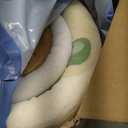 1.3" Thick Educational Baby Floor Play Mat 79x118, Basic Padded Memory Foam Kids Mat, Large Non-Slip Plush Playmat for Nursery Playroom Classroom (ABC Animal)