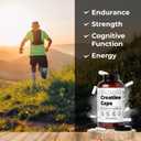 Santa Cruz Paleo Creatine Capsules, Supports Muscle Growth & Energy, Gluten Free, Keto, Sugar Free, Paleo, No Fillers or Additives, Creatine Monohydrate Pills, 2500mg, 100 Servings, 300 Capsules