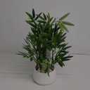365 Blooming Decor 18 inch Tall White Potted Faux Bamboo Plant- Luxury Artificial Bamboo Tree in White Pot for Home, Office, Kitchen, Counter Top, Indoor Decor, Money Tree, Lucky Bamboo Tree. (Green/ White)