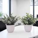 Artificial Plants Decoration Norfolk Potted Faux Fake Eucalyptus mini Cute sage Greenery Indoor Outdoor House Home Living Room Bathroom Coffee Table Desk Office Spring Decor 2 pots