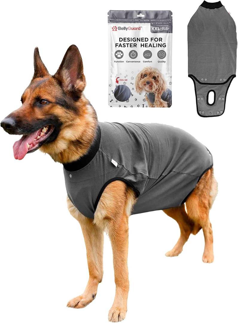 BellyGuard Recovery Suit for Dogs, Comfy Dog Surgery Suit, Female Spay and Male Neuter Onesie for Post-Op Care (XX-Large, Grey)