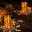 2 Pack Solar Lanterns Outdoor Hanging Lantern Lights, Dragonfly Hollowed-Out Metal Decor Lantern, Waterproof LED Decorative Garden Light - Delicate Garden Decoration for Patio, Yard