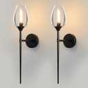 Black Glass Wall Sconce Light: Modern Decorative Sconces Lights over Mirror - Brushed Brass Bathroom Vanity Lighting with Flower Shade Set of 2 - Indoor Glass Wall Mount Lamp for Bedroom Living Room, 2 Pack