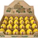 Beeswax Candles Bulk Set of 24pcs, Bee Candles with Little Bee Ornament Decors, Unscented & Dripless& Smokeless, Dia 1.77" x1.97" Each, Yellow