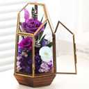 Gifts for Mom,Forever Preserved Flowers Roses in Glass Dome,Fresh Flowers for Delivery Mothers Day Roses Gifts for Wife Mom Women Grandma from Daughter/Purple Rose