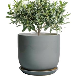 Ceramic Planter for Indoor Outdoor Plants - Cylinder Decorative 8 Inch Plant Pot with Drainage Hole and Saucer, Modern Home Decor, Gray