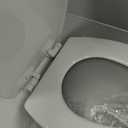 Mayfair Linden Slow Close Toilet Seat, Non Slip Heavy Duty Wood, Easy Install, Elongated, White