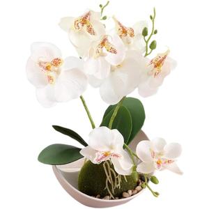 10.6 Inches Artificial Butterfly Flowers with Vase Potted Phalaenopsis Orchid Plant Silk Butterfly Orchid Flowers for Wedding Office Home Decor Indoor Centerpieces (White)