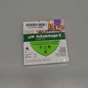Advantage II Large Cat Vet-Recommended Flea Treatment & Prevention | Cats Over 9 lbs. | 2-Month Supply