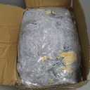 Airpanda Comfy Toddler Chair and Couch for Kids with Blanket, 2-in-1 Soft Plush Fold Out Toddler Couch for Girls and Boys, Convertible Sofa to Lounger for Playroom, Dinosaur