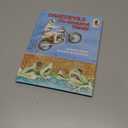 Daredevils Do Amazing Things (Step-Up Books ; 26)