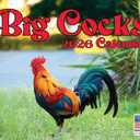 Big Cocks Calendar 2026 Rooster Monthly Wall Calender 12 Month | American Made In The USA