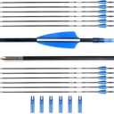 31“ Archery Arrows Training Practice Target Arrows for Kids Youth or Beginners Streamlined Points Durable Shaft on Recurve Bows Youth Bow and Longbows(Pack of 12)