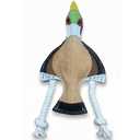 Fuzzl Eco Leather Pip Pheasant Toy Natural and Tough Dog Toys - Long Lasting Chew Toys for Aggressive Chewers - Strong Dog Toy for Dogs and Puppy