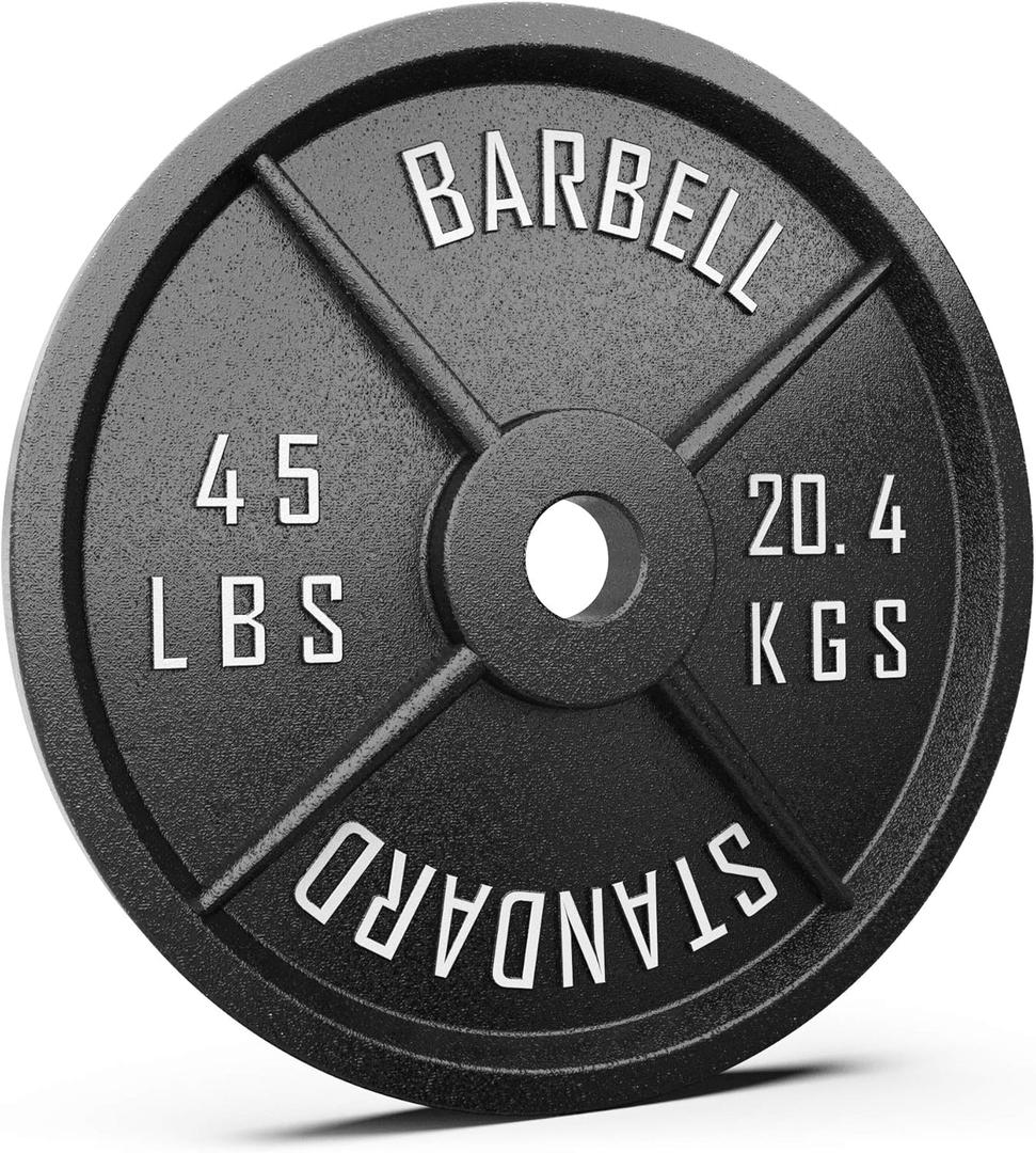 Synergee Standard Metal Weight Plates with 2 Opening for Bodybuilding, Olympic & Power Lifting Workouts. Metal Weight Plates Sold in Singles, Pairs & Sets. from 2.5 to 45 Pounds.