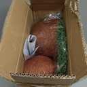 PETEPELA Cat Scratching Post, Mushroom Tall Cat Scratcher Featuring with Natural Sisal Scratching Poles and Interactive Toy Ball for Kittens and Small Cats (Brown) (18.9")