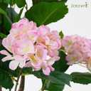 Artificial Hydrangea Tree 2 Pack, 3FT Faux Hydrangea Plant in Pot with Pink Flowers, Greenery Potted Plant for Indoor Outdoor Office Home Porch Decor, Pink