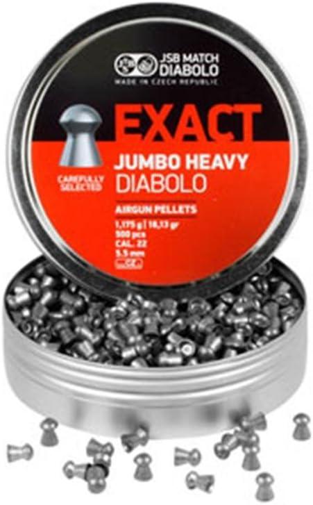 Exact .22 Caliber Air Gun Pellets (1 pack, Jumbo Exact Heavy, 18.1G, 500ct)