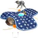 Interactive Cat Toy Rechargeable, Cat Exercise Toys for Indoor Bored Adult Cats, Hide and Seek Toy with Motion Activated, Moving Feather, Chirping