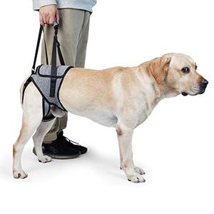 Dog Lift Harness, TORJOY Dog Sling for Small Medium Large Dogs, Dog Support Harness for Back Legs, Adjustable Soft Padded Pet Harness for Olderly, Injured, Arthritic, Disabled Dogs, Grey, XL