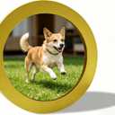 alfyng Round Photo Frame Wooden Wall Hanging Picture Frames for Home Office Wall Dcor (Gold, 6 inch)