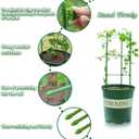 Legigo 3 Packs Plant Support Cages Tomato Cage for Garden- 18 Inch Adjustable Garden Cucumber Trellis Plant Stakes, Trellis Support Rings for Climbing Plants, Pots, Indoor Plants with 10 Plant Clips