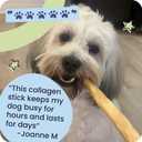 Pawstruck All Natural 11-12" Roasted Collagen Sticks for Dogs – Low Odor & Long-Lasting Bully Stick & Rawhide Alternative, Single Ingredient, Vet Approved – 5 Pack